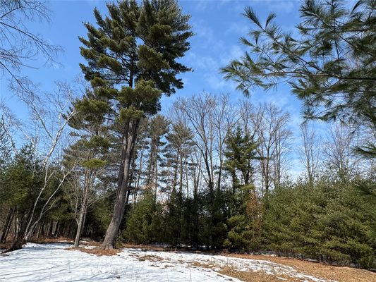 Land at OOO LAKE RD, Clintonville, WI 54929 — photo 1