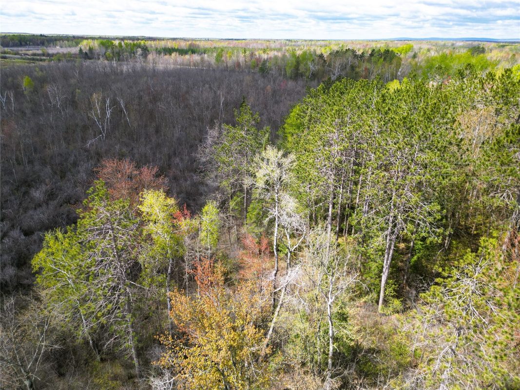 36.5 Acres E Cedarbrook Road, Ladysmith WI 54848 - Land house for sale - MLS #1601172 - image10