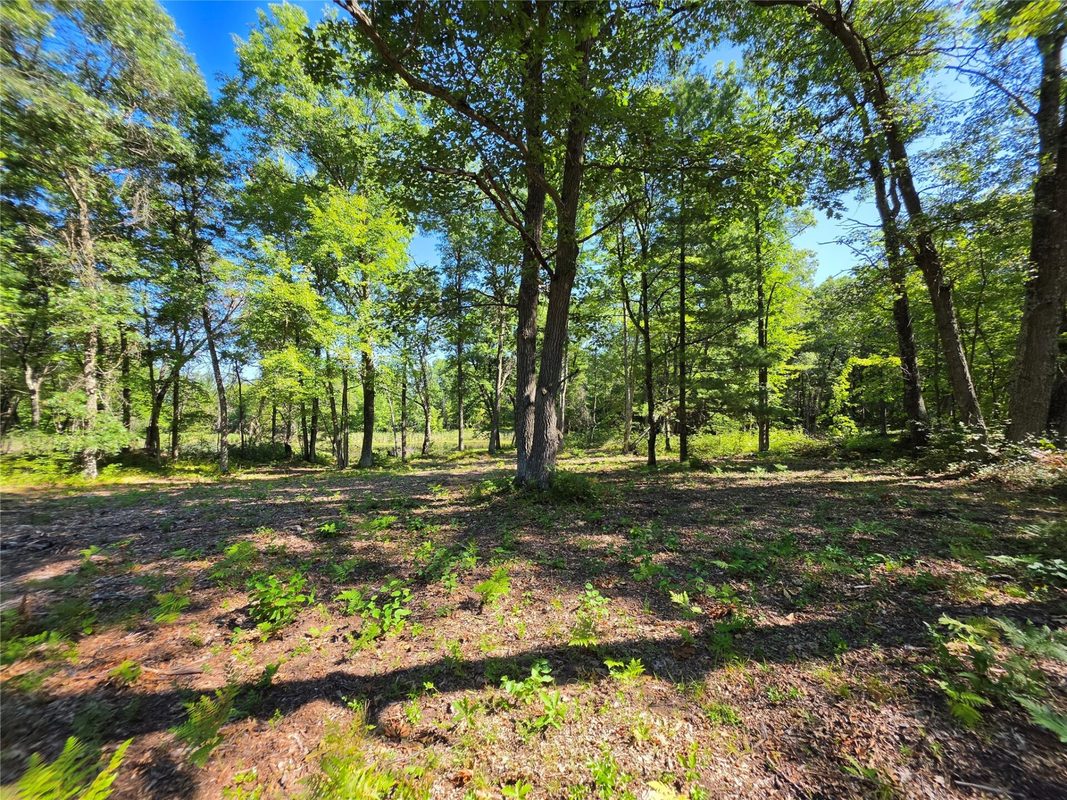 27696 295th (Lot 15) Street, Holcombe WI 54745 - Land house for sale - MLS #1604256 - image4