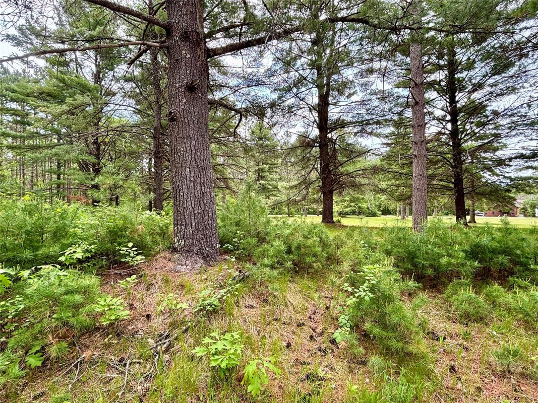 0 Arrow Road, Hayward WI 54843 - Land house for sale - MLS #1603623 - image7