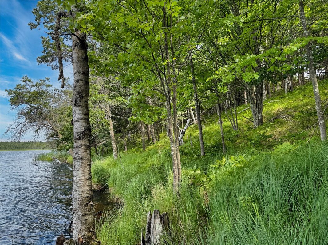 11149 Merganser Lane, Hayward WI 54843 - Land house for sale - MLS #1604672 - image11