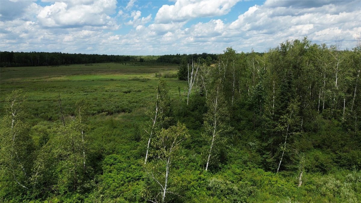 W11199 Edgewood Avenue, Bruce WI 54848 - Land house for sale - MLS #1605749 - image13