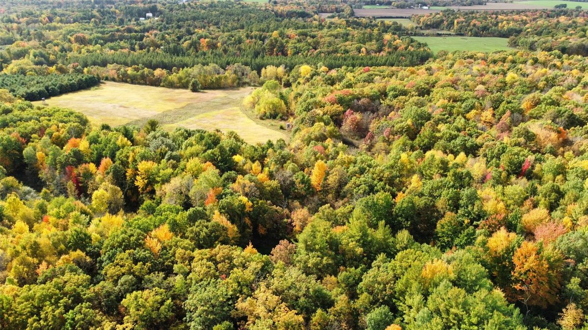 3461 56th, Frederic WI 54837 - Land house for sale - MLS #1605729 - image10