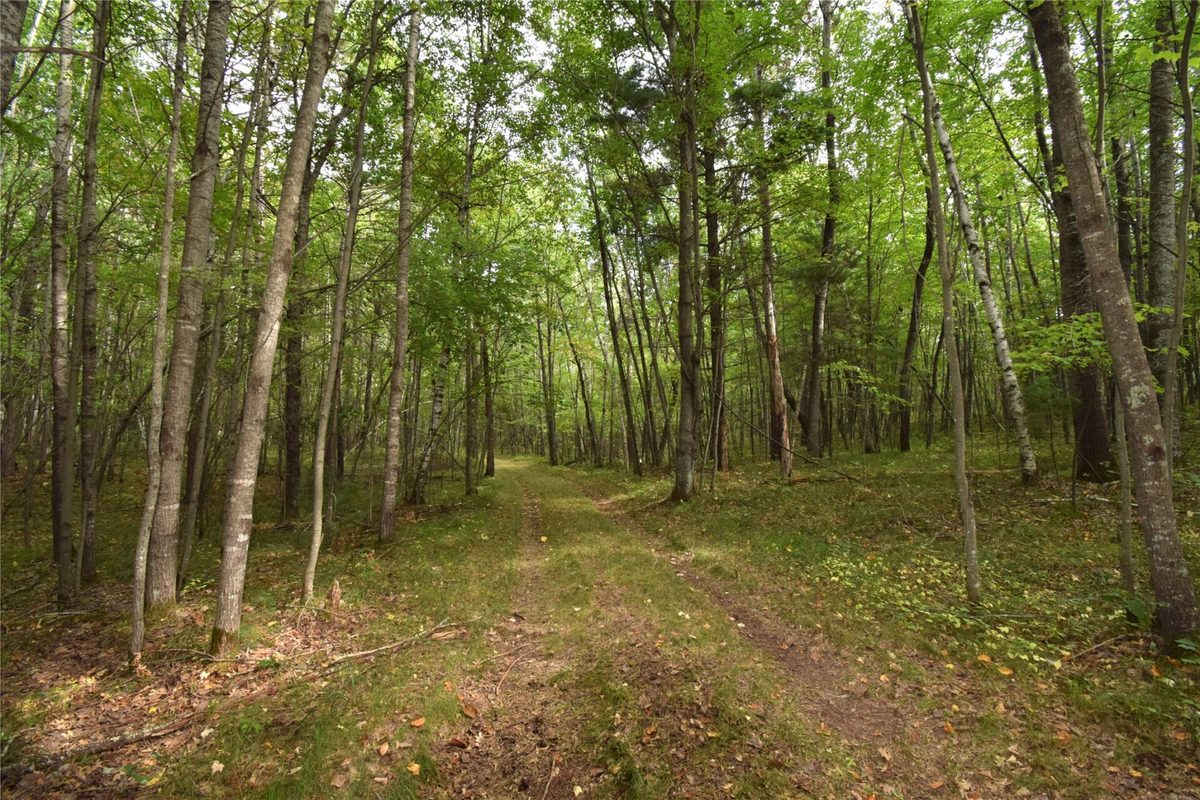 28206 Pardun Road, Danbury WI 54830 - Land house for sale - MLS #1604938 - image20