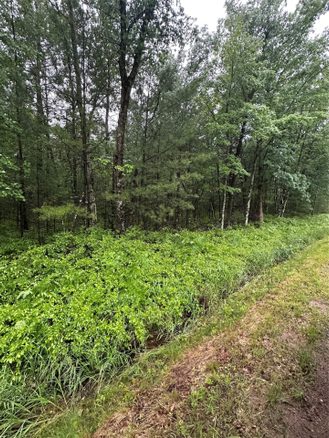 Lot 3 Highway K, Hatfield WI 54754 - Land house for sale - MLS #1598541 - image1