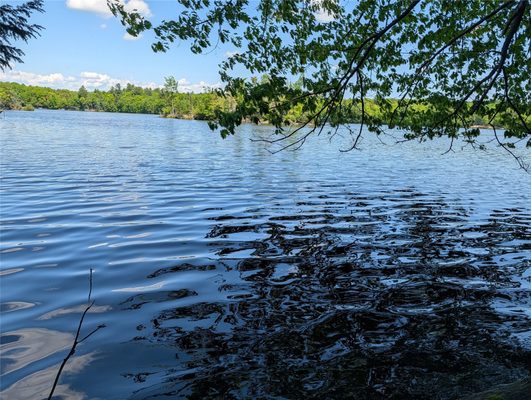 14967 360th Street, Stanley WI 54768 - Land house for sale - MLS #1601607 - image1