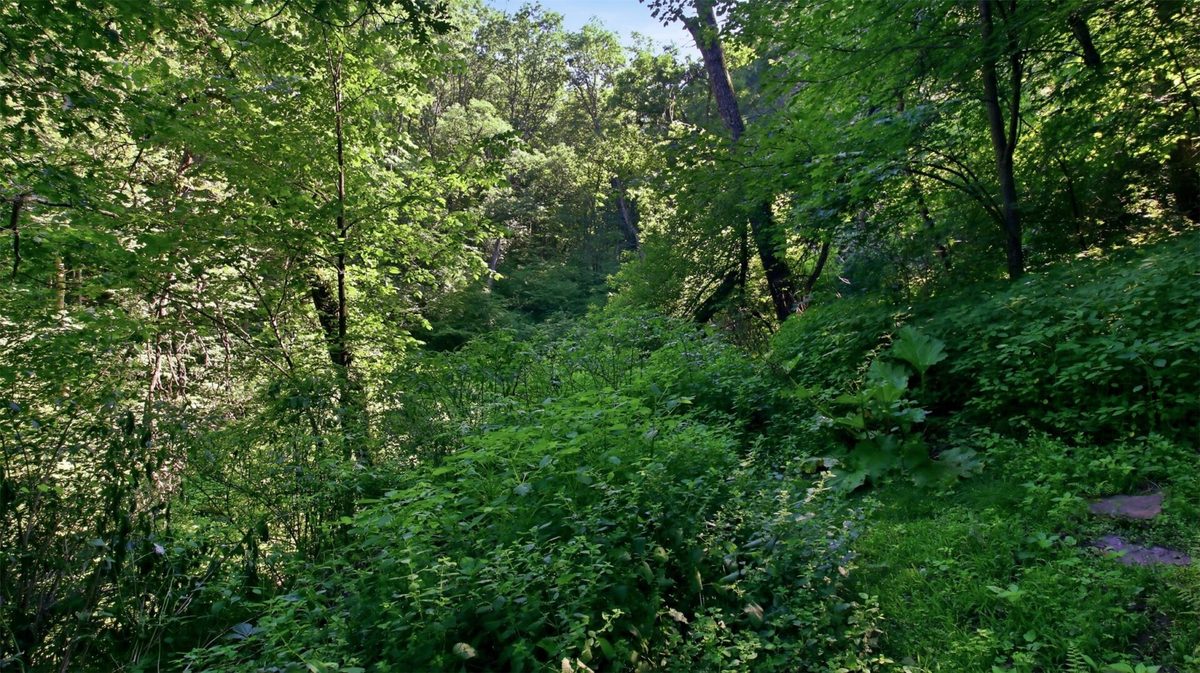 N44681 Hawkenson Valley Road, Eleva WI 54738 - Residential house for sale - MLS #1602782 - image22