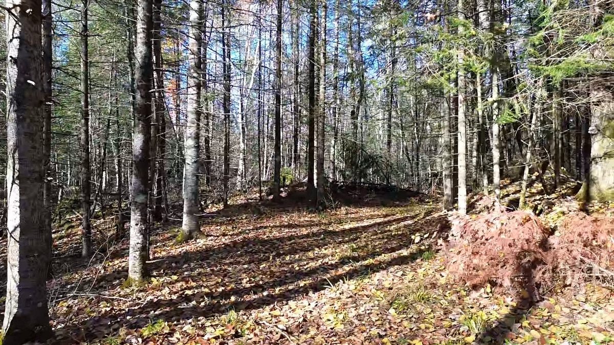 4800 43 Road, Solon Springs WI 54783 - Land house for sale - MLS #1606105 - image9