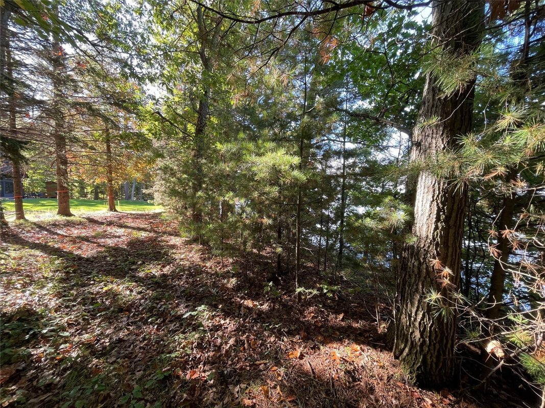 6073 Elsie Road, Stone Lake WI 54876 - Land house for sale - MLS #1602616 - image25