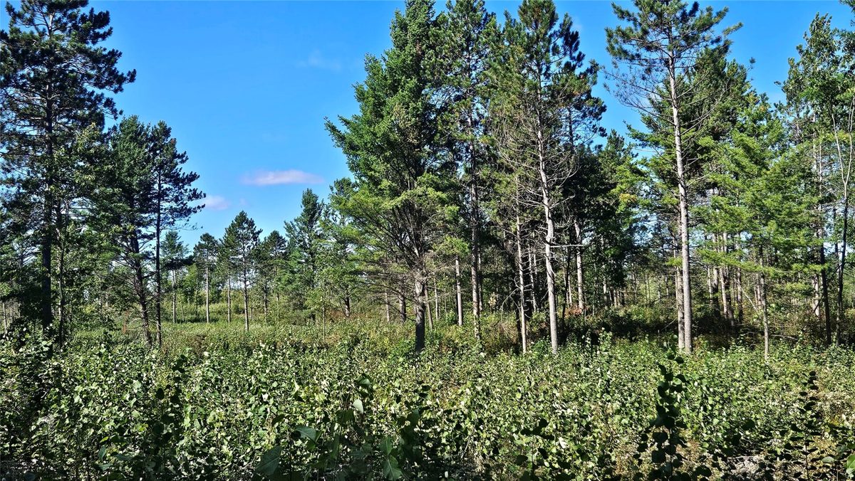 1-7 Larson Road, Hayward WI 54843 - Land house for sale - MLS #1605167 - image16