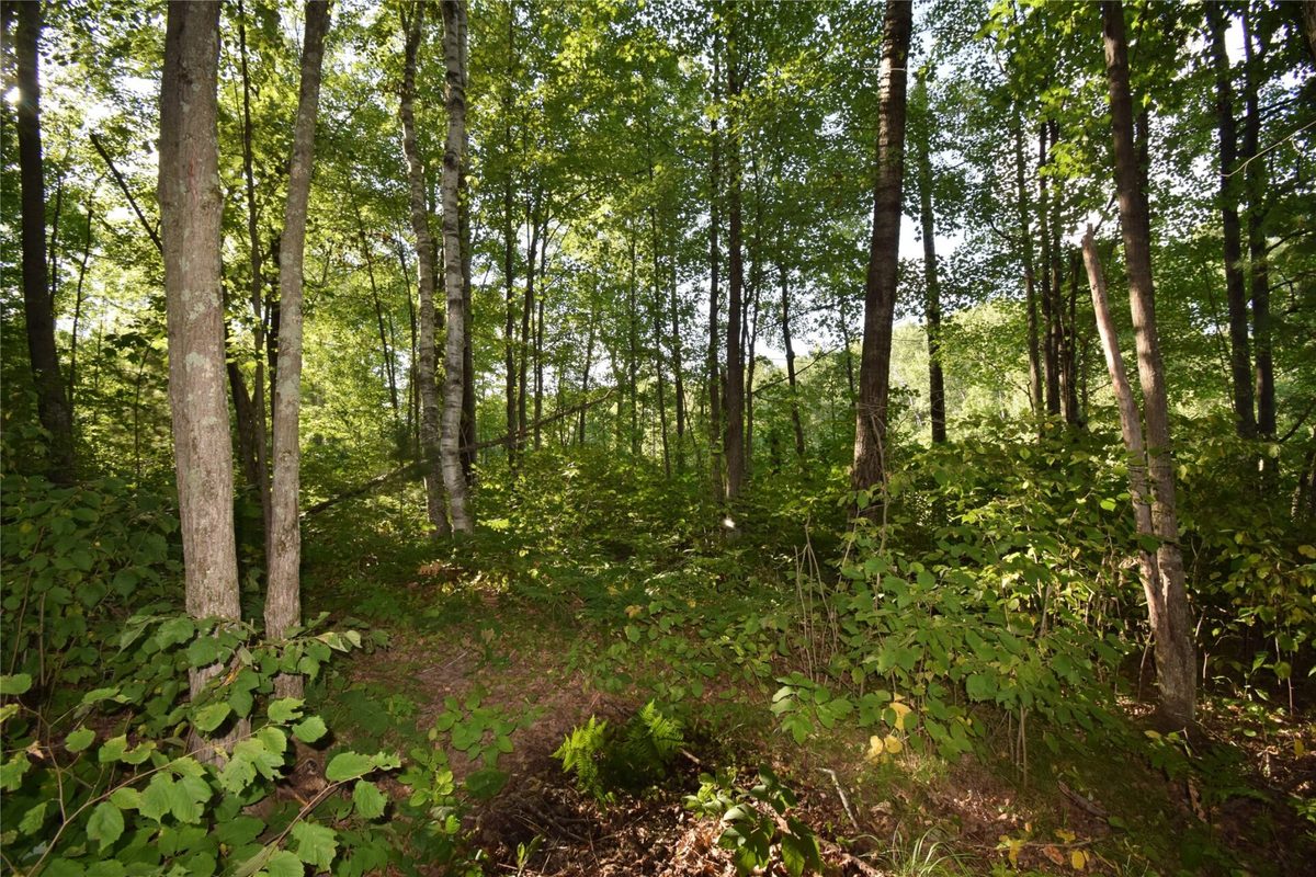6595 Pike Bend Road, Webster WI 54893 - Residential house for sale - MLS #1604702 - image46