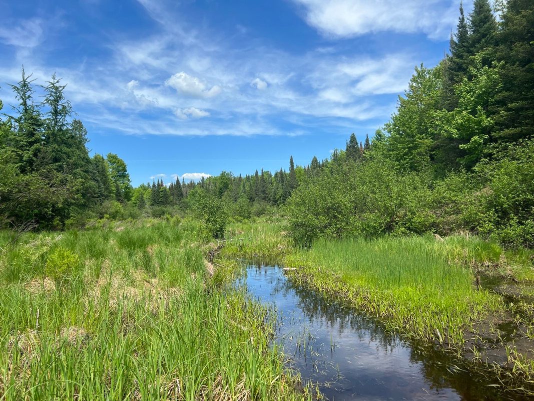 Lot 1 Smith Road, Couderay WI 54828 - Land house for sale - MLS #1601877 - image5