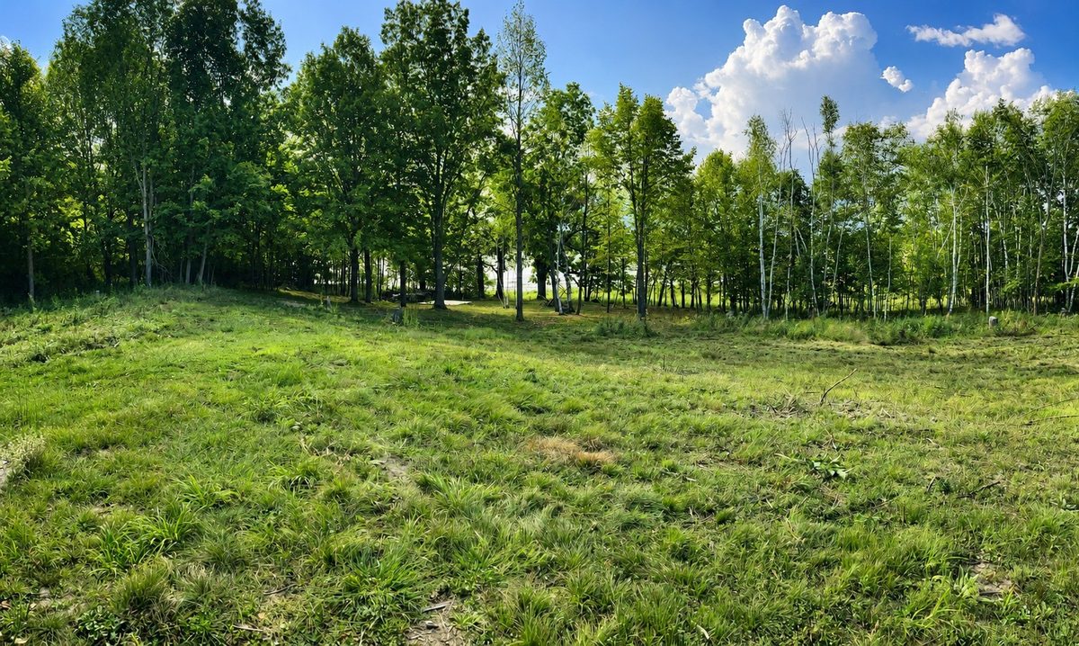 110 90th Avenue, Clayton WI 54004 - Land house for sale - MLS #1604843 - image6