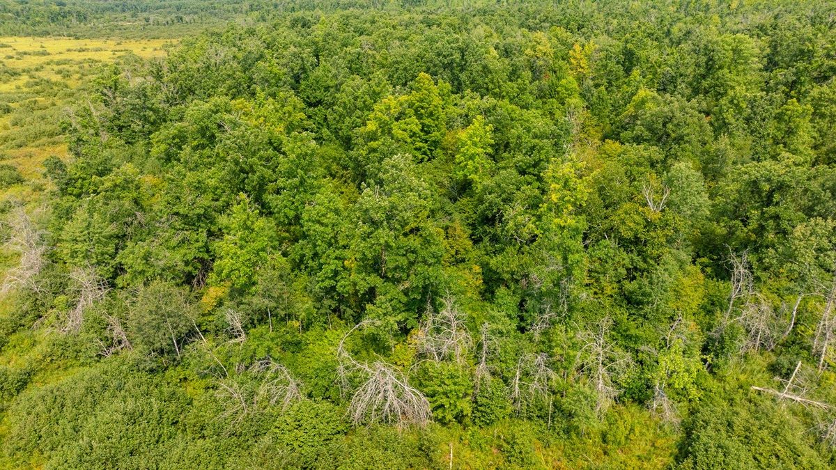 0 28th Street, Chetek WI 54728 - Land house for sale - MLS #1604329 - image32