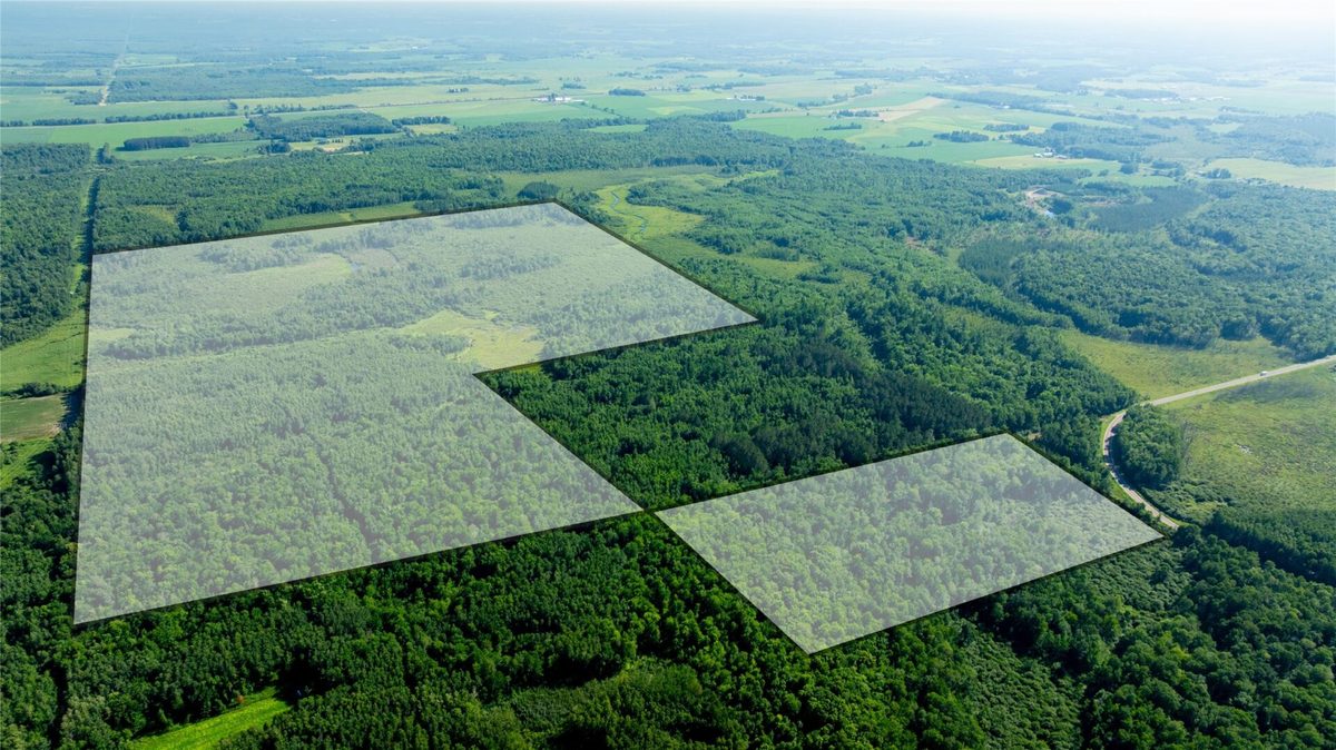 W5343 County Road X, Glen Flora WI 54526 - Land house for sale - MLS #1603306 - image17