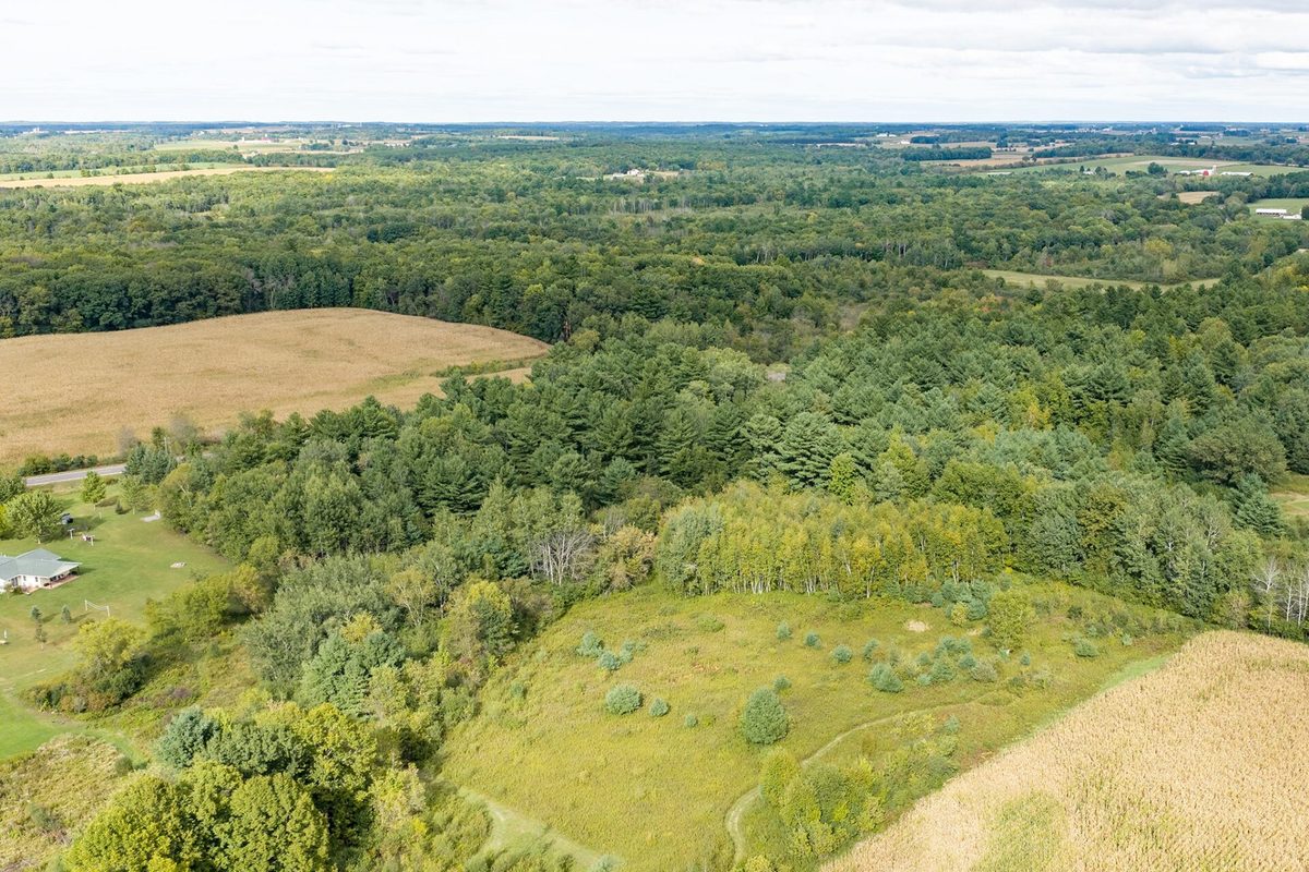 Lot 2 County Hwy X, Cadott WI 54727 - Land house for sale - MLS #1605345 - image4