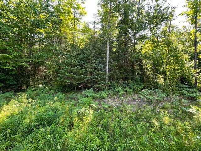 12552 N County Highway T