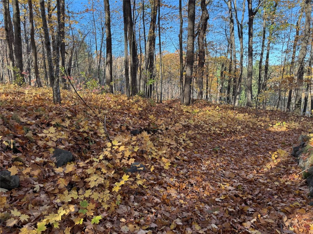 XXX County Hwy MD, Sarona WI 54870 - Land house for sale - MLS #1605948 - image22