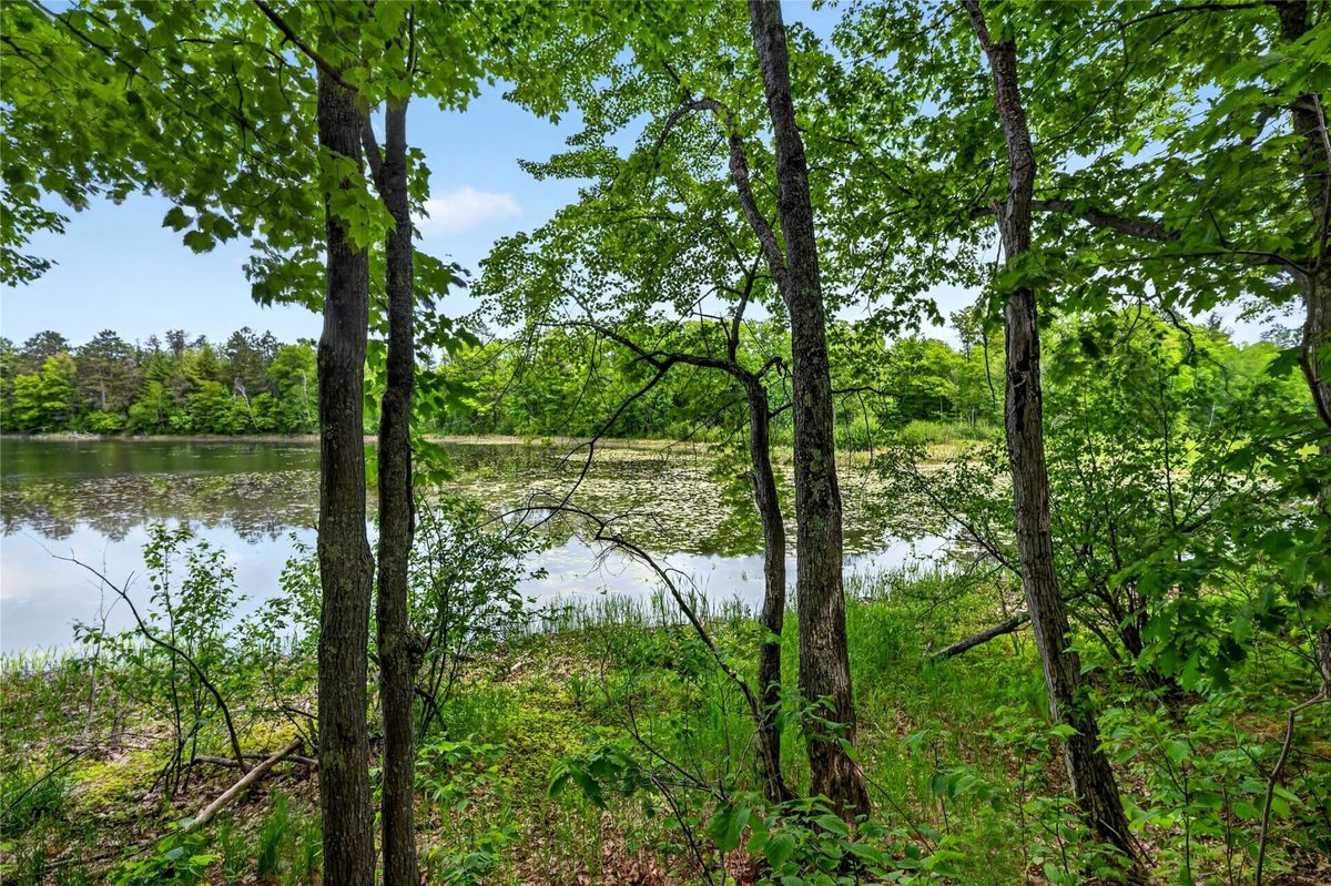 8355 Halfmoon Lake Drive, Iron River WI 54847 - Land house for sale - MLS #1602005 - image9