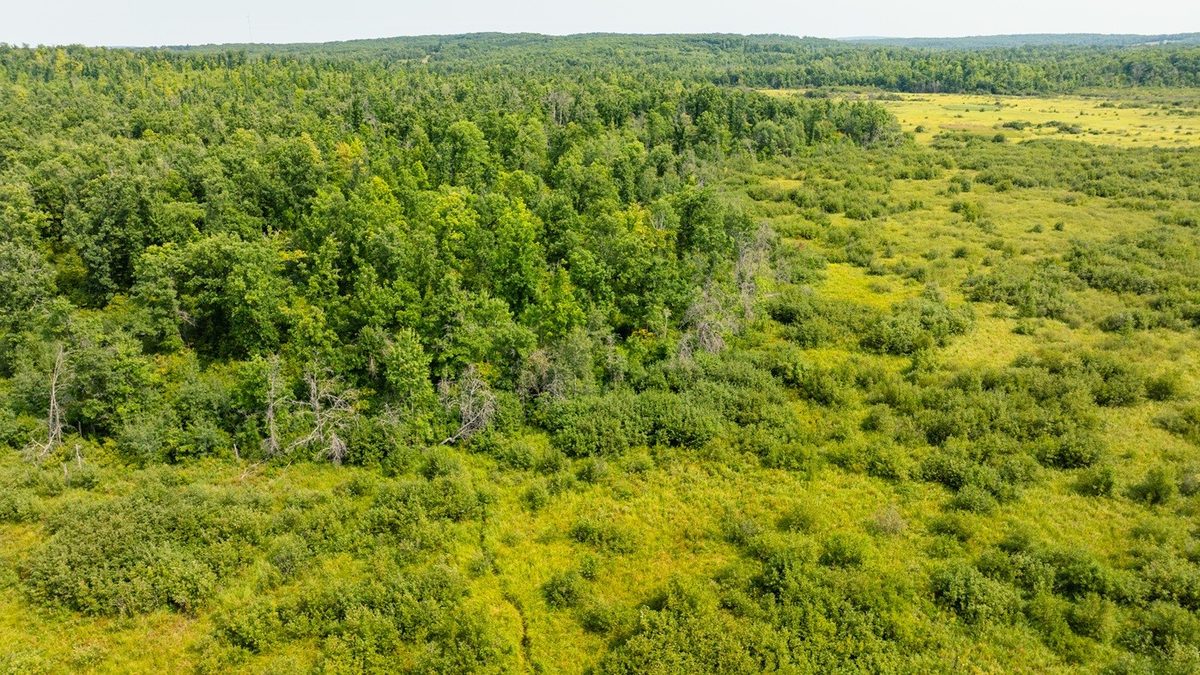 0 28th Street, Chetek WI 54728 - Land house for sale - MLS #1604329 - image34