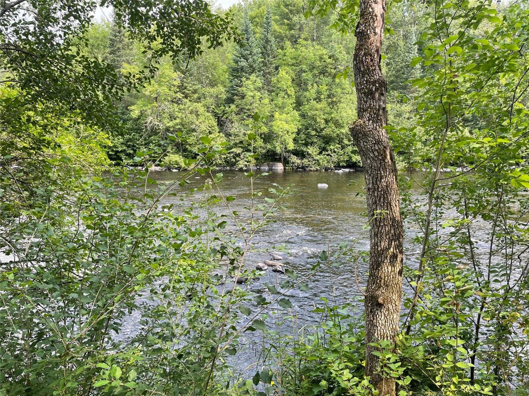 N14396 Krucky Road, Fifield WI 54524 - Land house for sale - MLS #1604496 - image17