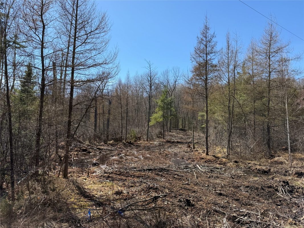 Lot 2 Eaton Road, Hayward, WI — photo 5