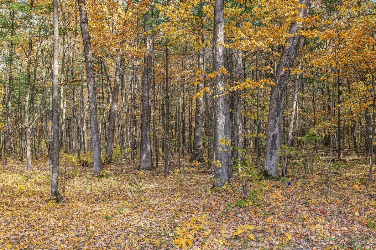 10941 200th Street, Jim Falls WI 54748 - Residential house for sale - MLS #1605885 - image31