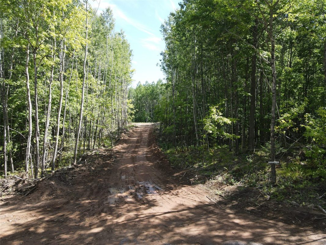 Parcel 4 County Road A, Solon Springs WI 54873 - Land house for sale - MLS #1604811 - image10