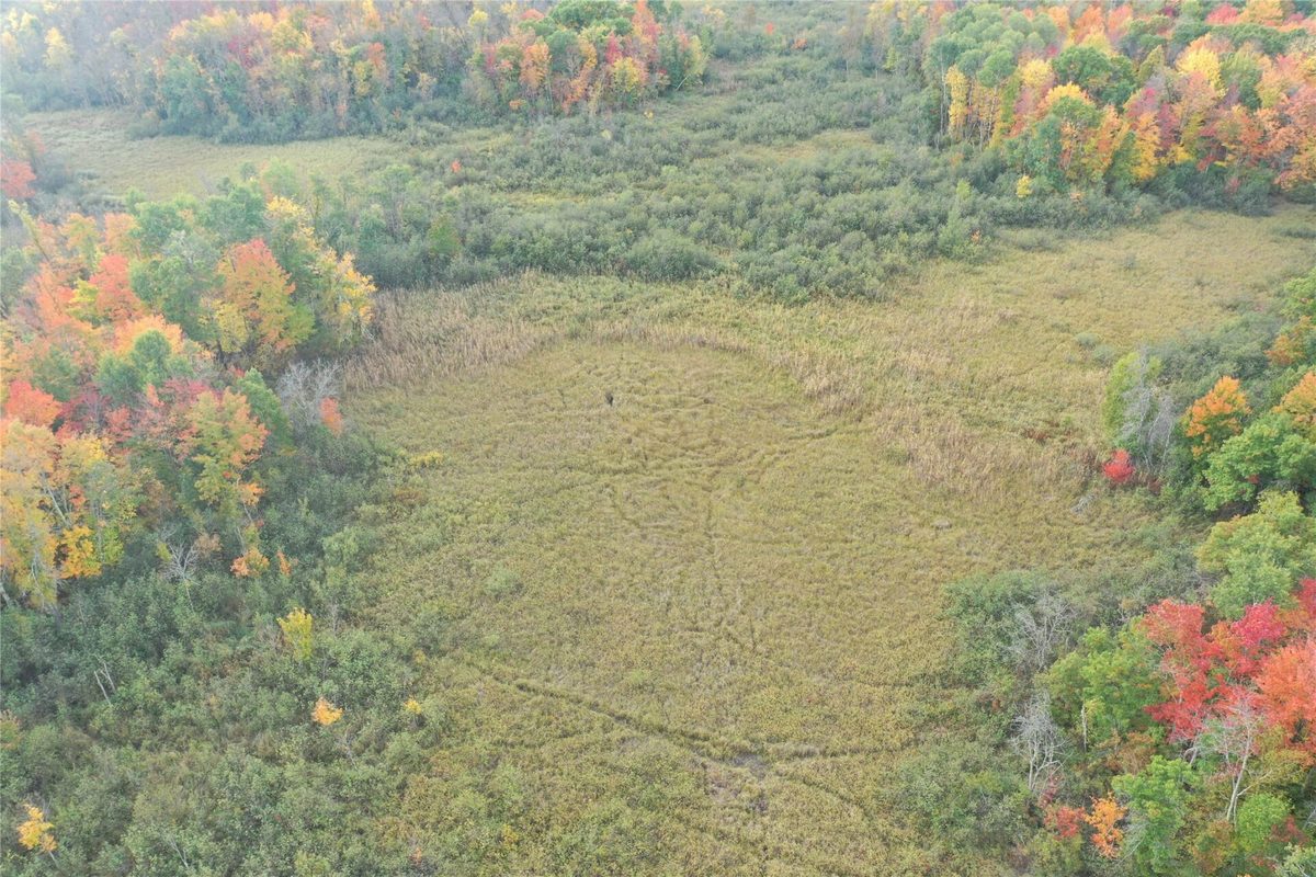 0 Klarquist Road, Webster WI 54840 - Land house for sale - MLS #1605651 - image14