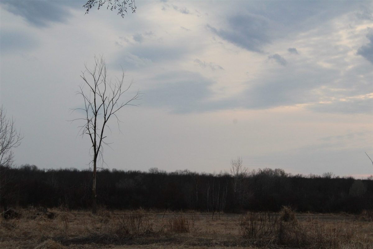 1563 N Helena Drive Holcombe WI 54731 — photo 27