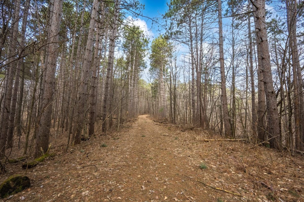 917 Sunrise Beach Drive, Amery WI 54001 - Residential house for sale - MLS #1599478 - image41