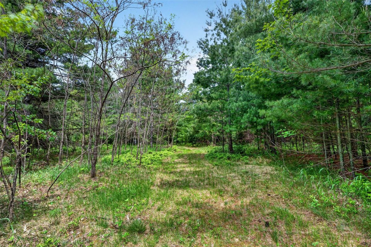 8355 Halfmoon Lake Drive, Iron River WI 54847 - Land house for sale - MLS #1602005 - image3