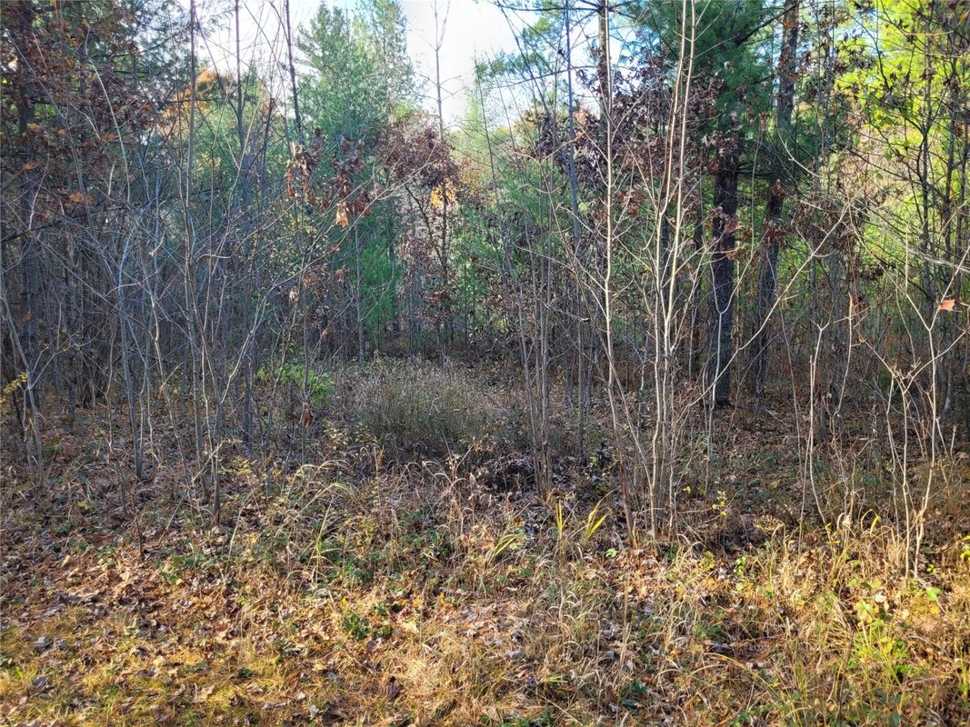 N10835 Kovar Road, Merrillan WI 54741 - Land house for sale - MLS #1606219 - image12