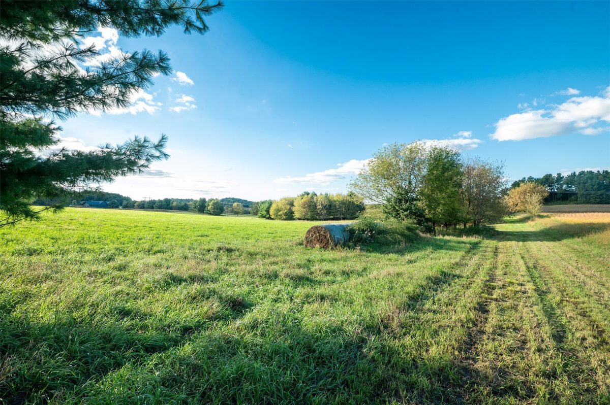 XXX 420th Avenue, Menomonie WI 54751 - Land house for sale - MLS #1605466 - image15