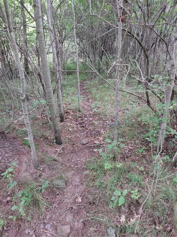 TBD Lot 7 10 1/4 Avenue, Chetek WI 54728 - Land house for sale - MLS #1595118 - image11