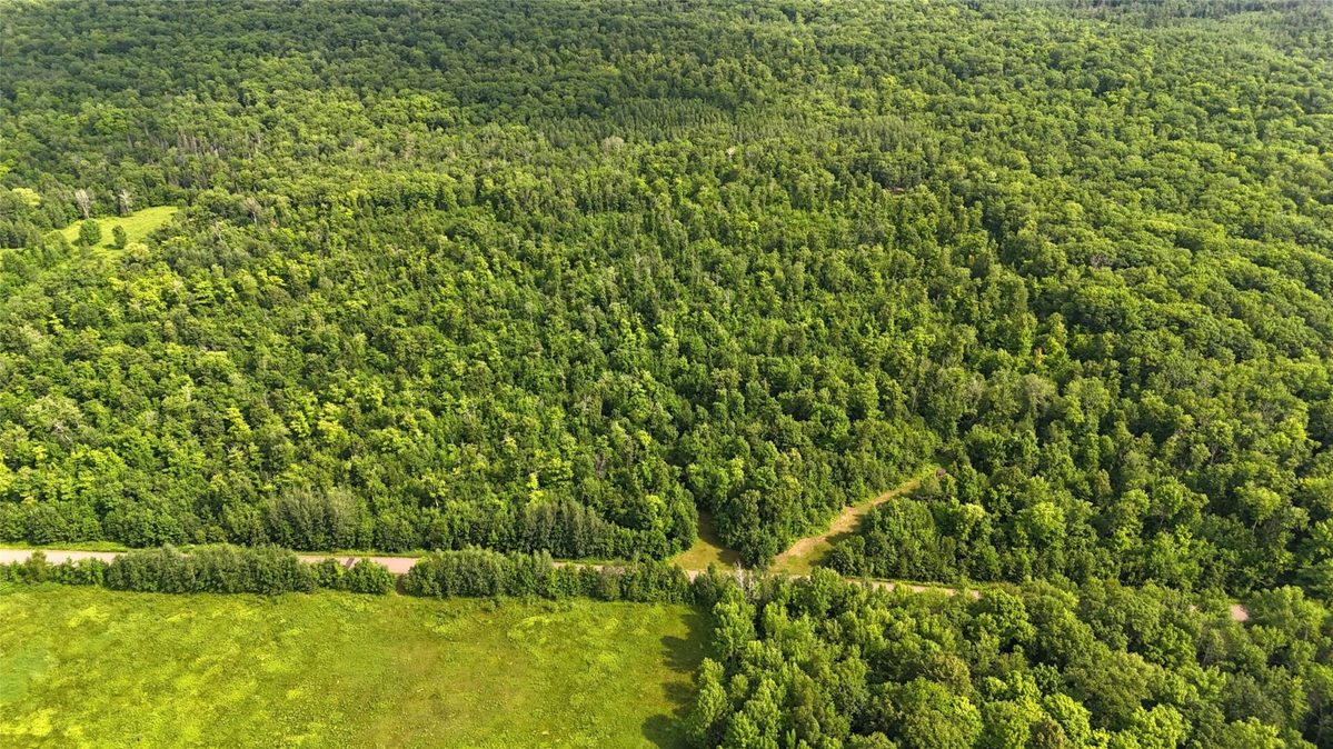 XXX Eckel Lane, Couderay WI 54835 - Land house for sale - MLS #1603143 - image5