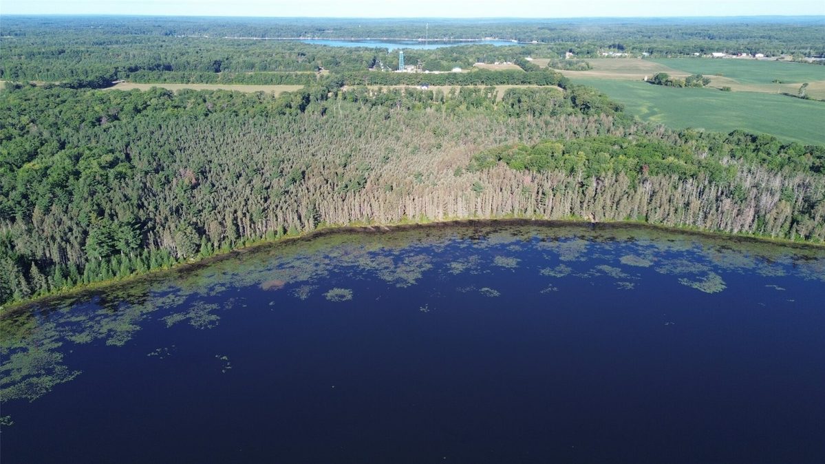 0000 Sand Lake Road, Stone Lake WI 54876 - Land house for sale - MLS #1604299 - image6