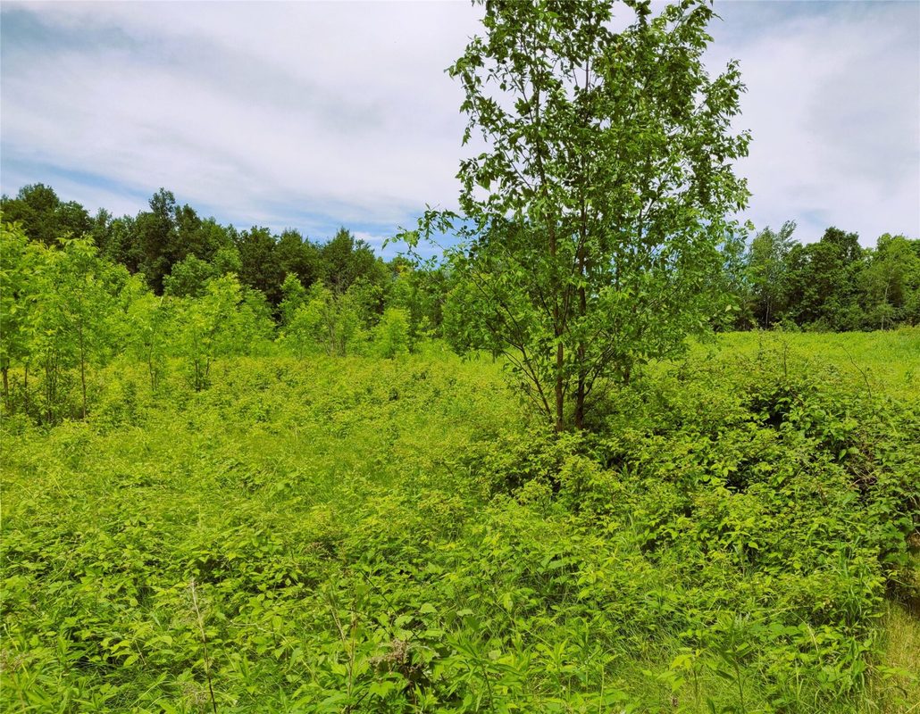 1.35 Acres on Isabella Lane, Sheldon, WI — photo 3