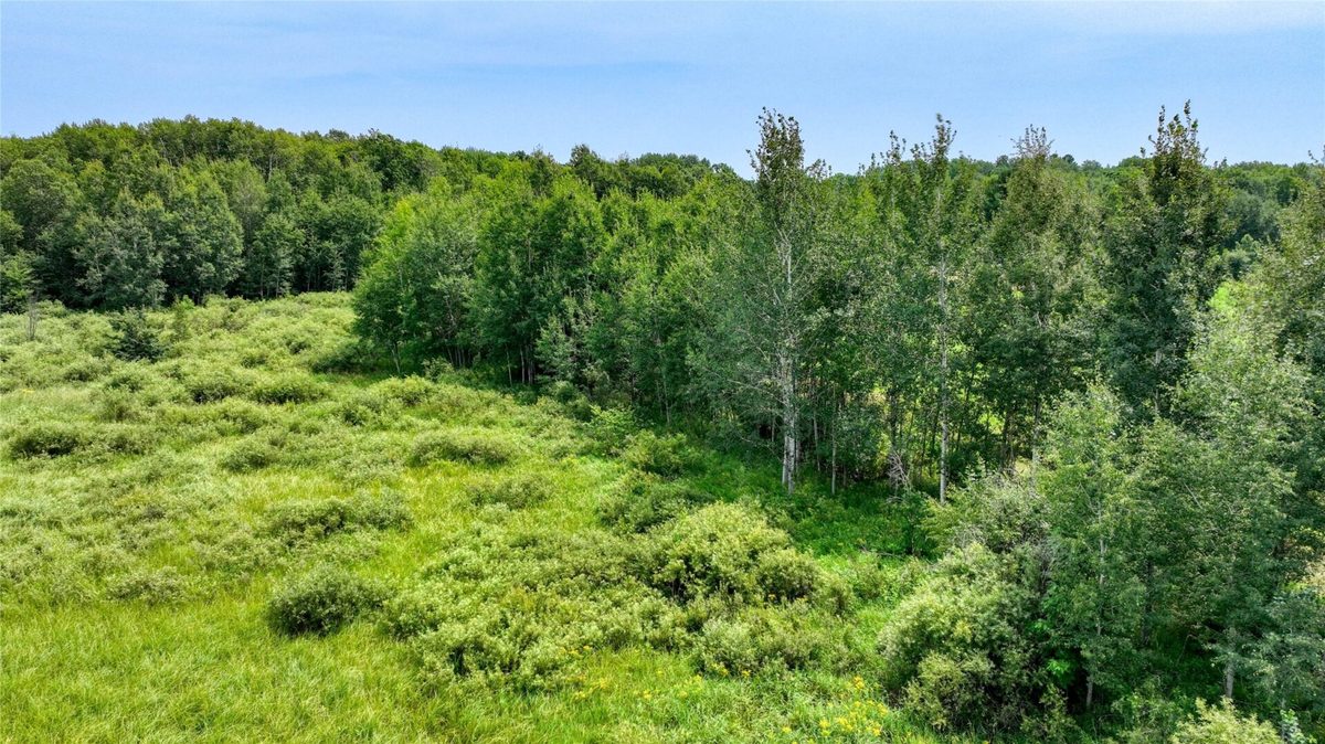N1395 Grouse Road, Sarona WI 54870 - Residential house for sale - MLS #1603868 - image26