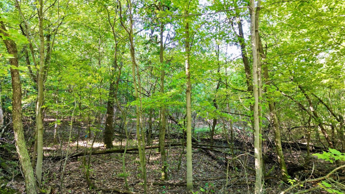 N6497 906th Street, Elk Mound WI 54739 - Land house for sale - MLS #1605558 - image4