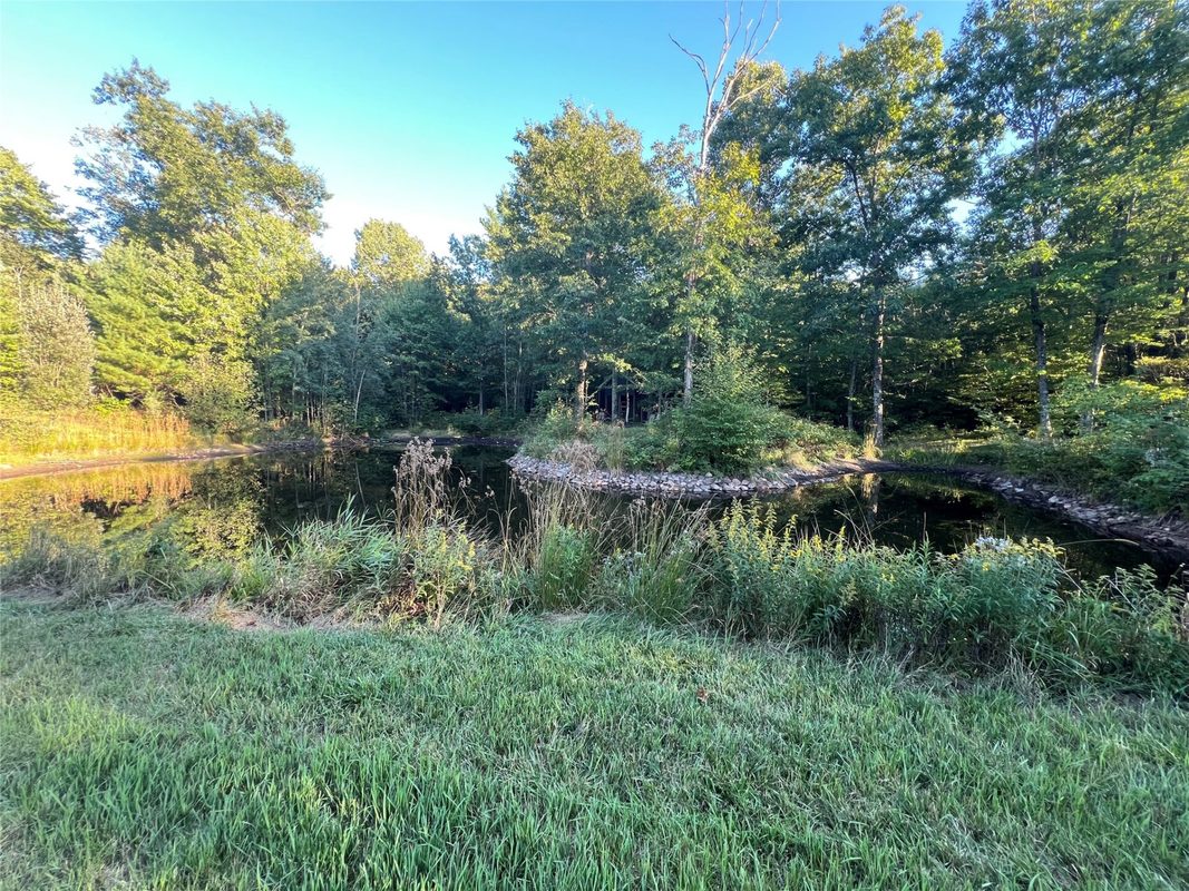 W10712 Popple River Road, Thorp WI 54771 - Land house for sale - MLS #1605082 - image11