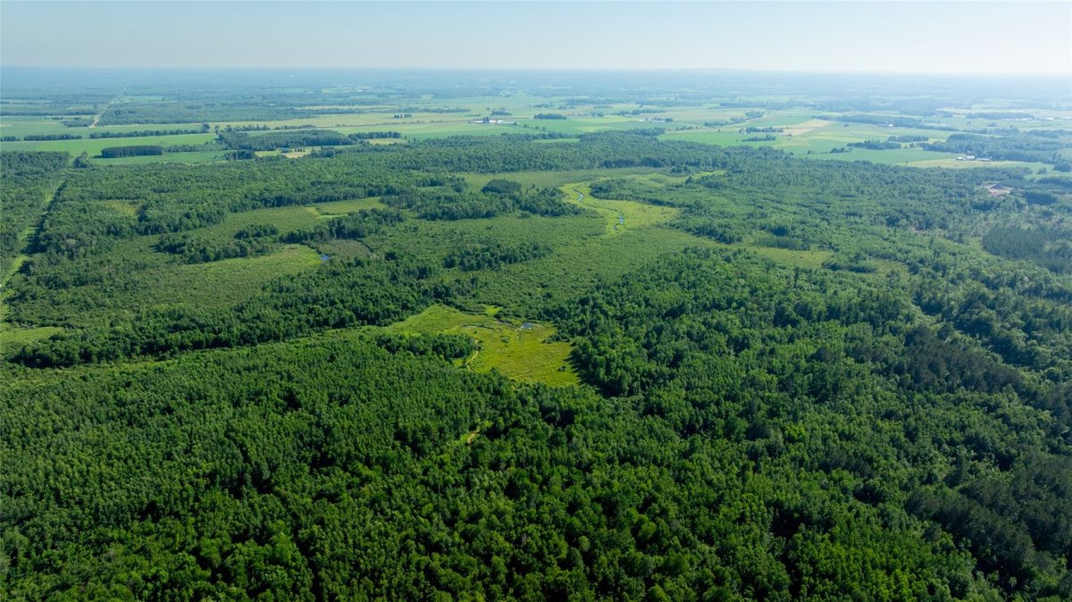 W5343 County Road X, Glen Flora WI 54526 - Land house for sale - MLS #1603306 - image8