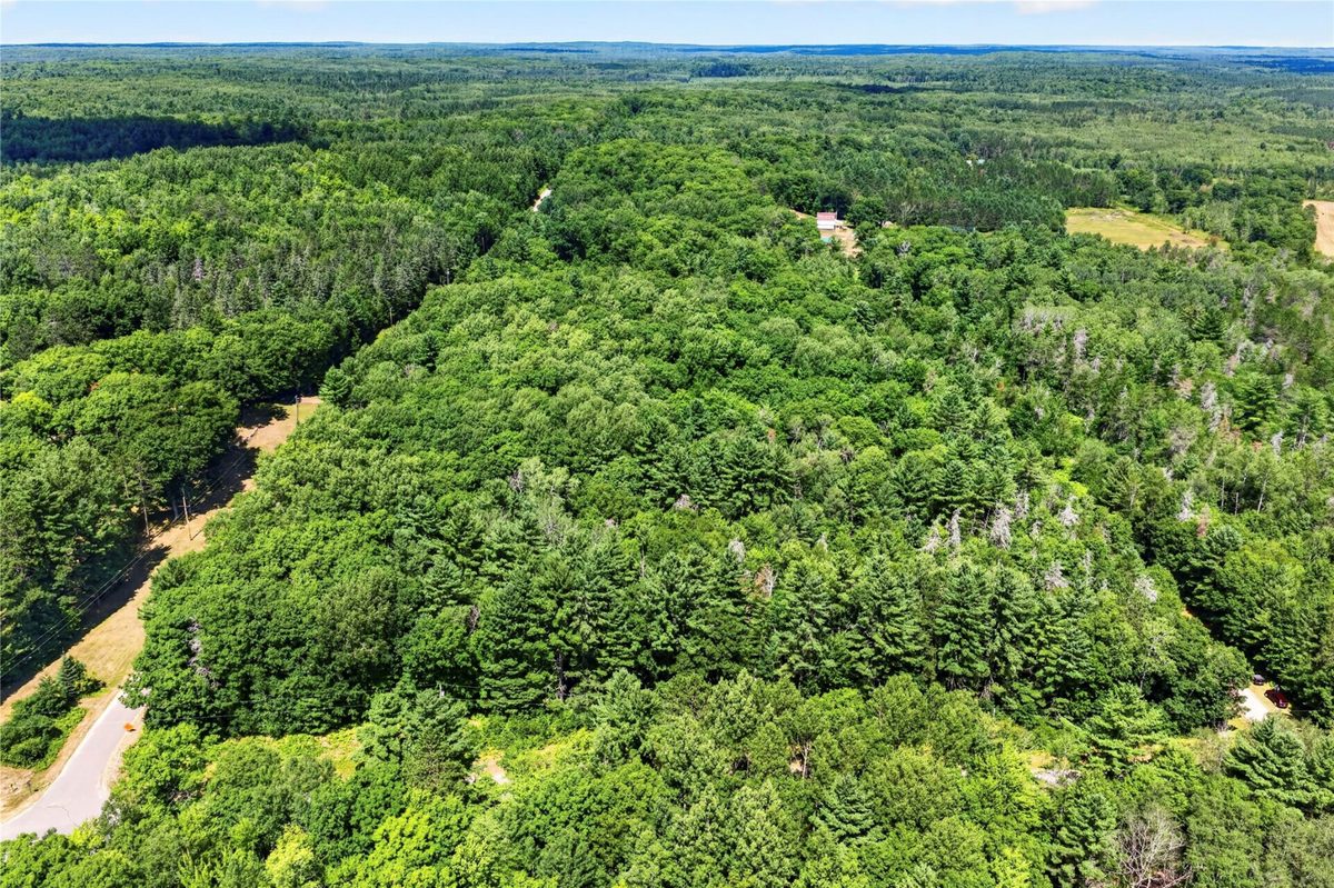 Lot 1 Larsen Road, Hayward WI 54843 - Land house for sale - MLS #1605635 - image15