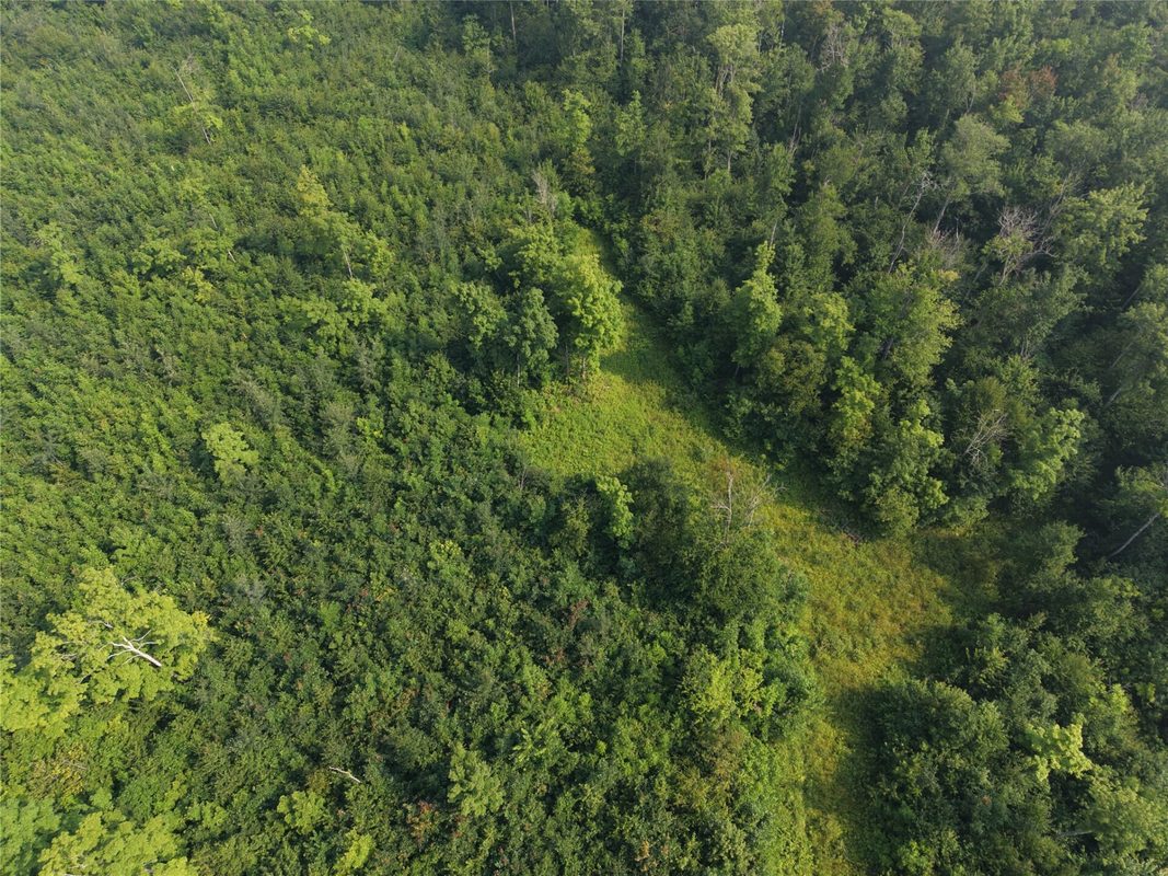 On County Road H, Radisson WI 54867 - Land house for sale - MLS #1603350 - image16