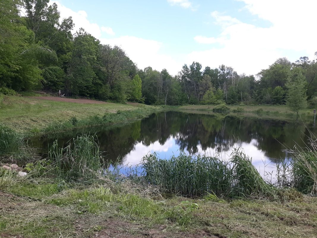 1438 22 1/2 Avenue, Rice Lake, WI — photo 25