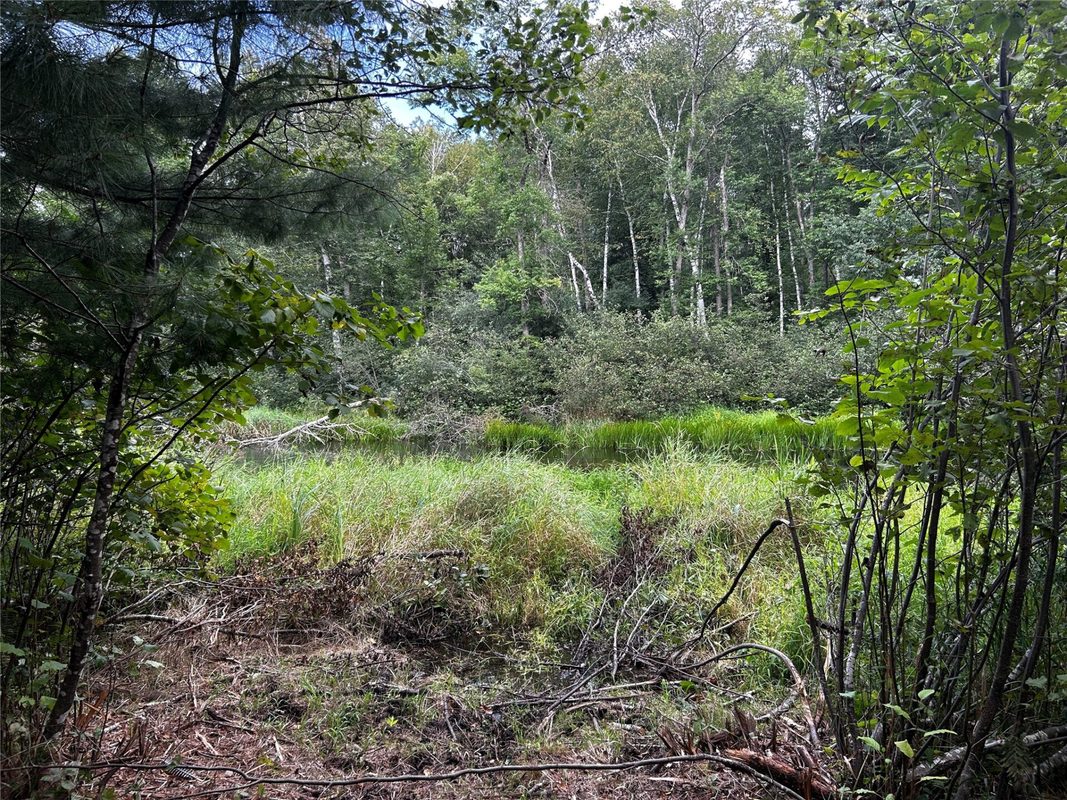 Lots 5 & 6 State Highway 70, Spooner WI 54801 - Land house for sale - MLS #1604806 - image46
