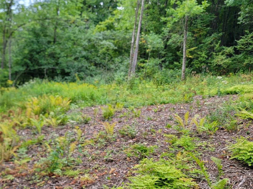 5522N County Highway G, Winter WI 54896 - Land house for sale - MLS #1605127 - image7