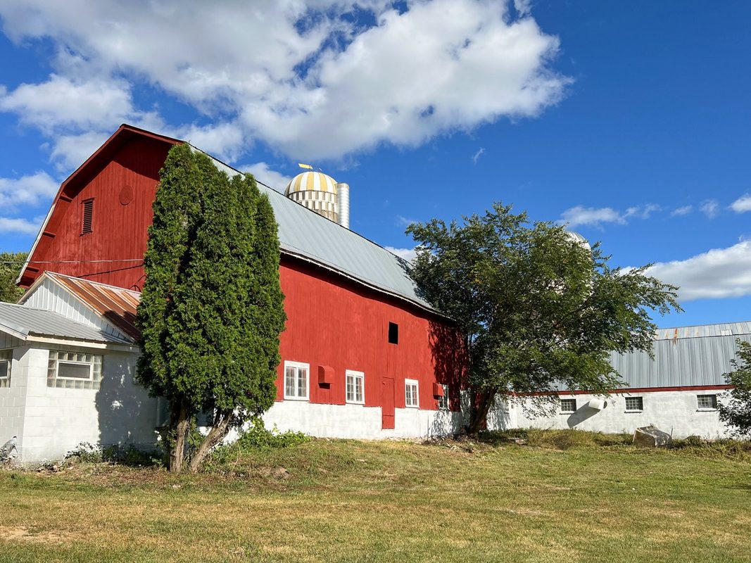 N3684 Claire Road Taylor WI 54659 — photo 29