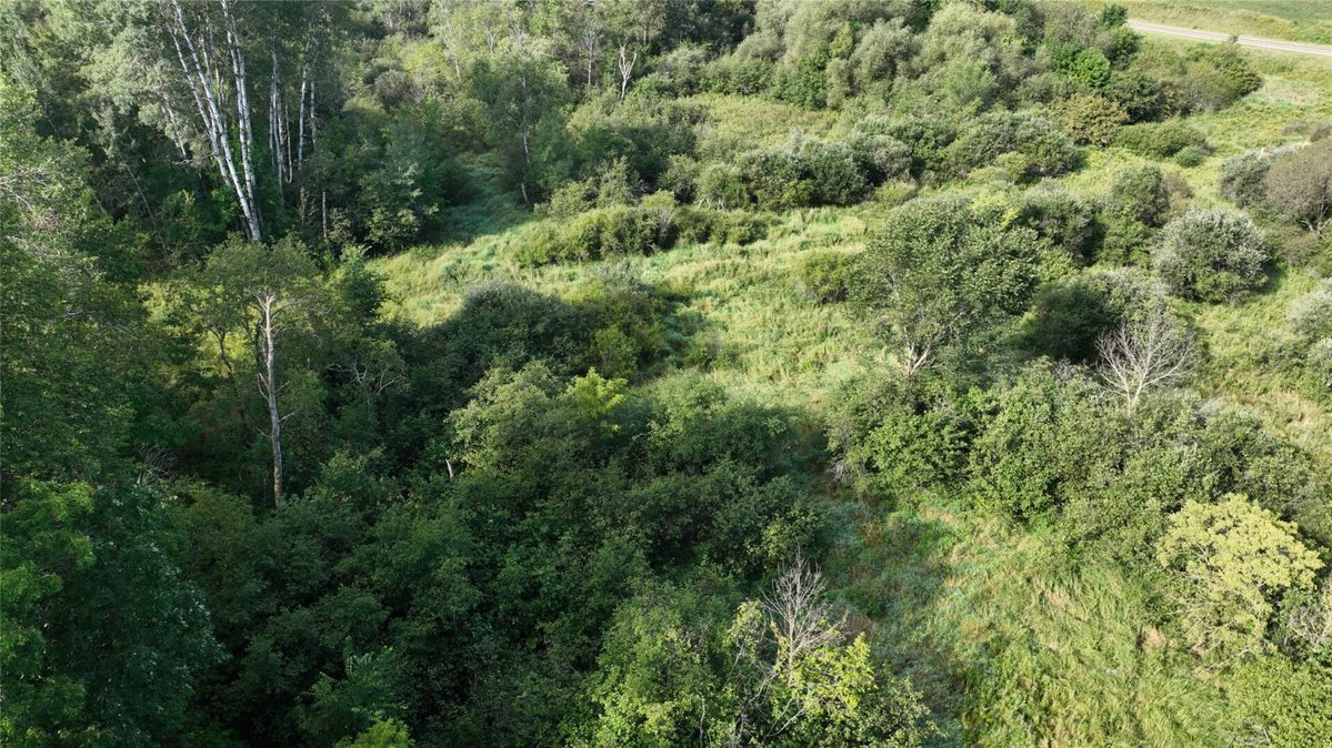 XX County Rd O, Boyceville WI 54725 - Land house for sale - MLS #1604881 - image22