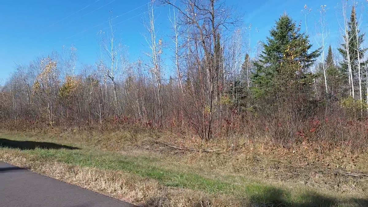 123XX W Jos R Chafer Road, Couderay WI 54828 - Land house for sale - MLS #1606292 - image15